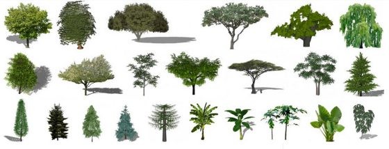 Descargar árboles, arbustos y césped en 2D y 3D para SketchUp