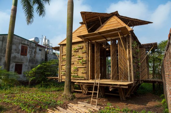 Diseño de casas de bambú que soporta climas intensos