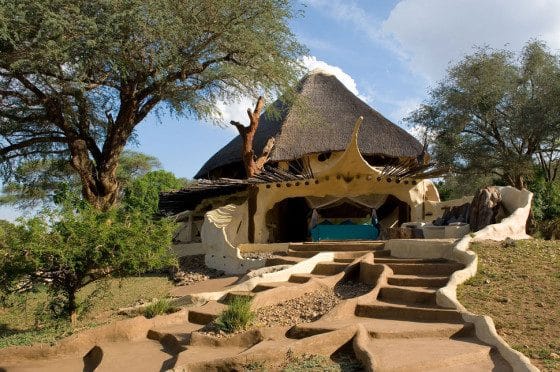 Diseño de casa hiper rústica / orgánica con decoración de interiores salvaje