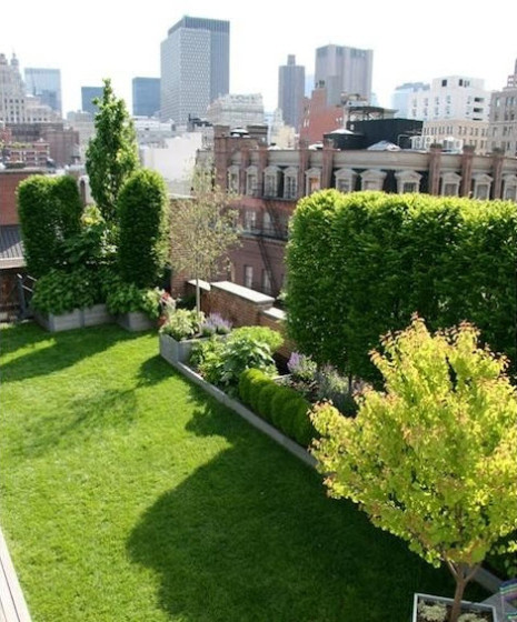 Diseño de jardín en el techo de un edificio en una gran ciudad