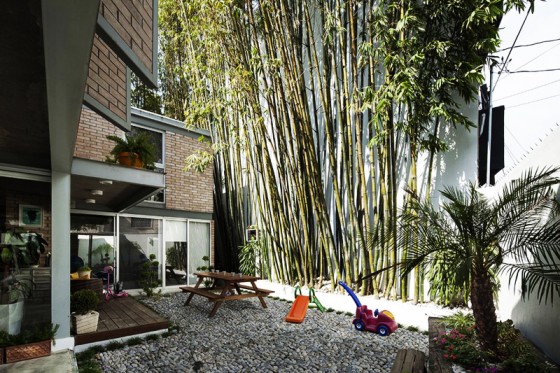 Diseño de patio con jardín de bambú