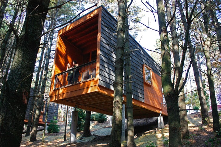 Diseño de pequeña cabaña de madera, moderna construcción se integra a la naturaleza