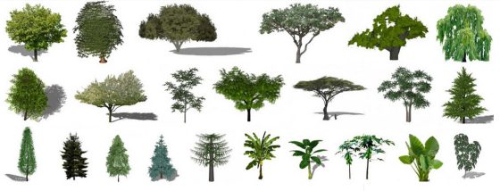 Plantas y árboles 2D y 3D para Sketchup