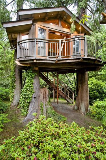 Hermosa casa de árbol