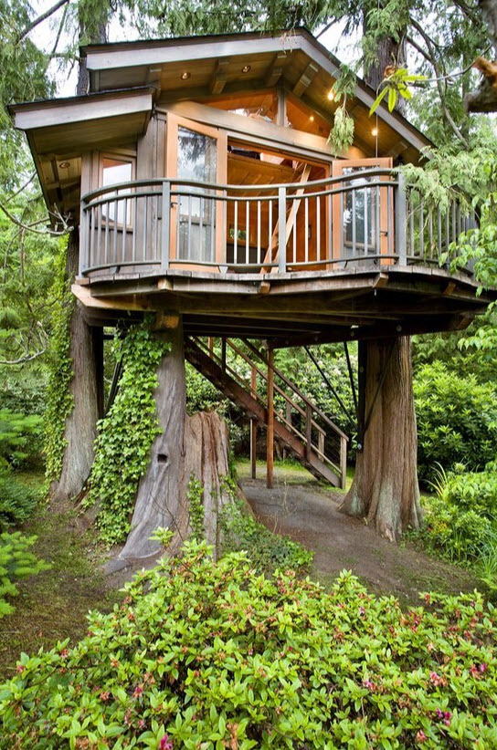 Diseños de casas del árbol, te sorprenderán las estructuras - Construye