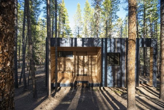 Fachada de cabaña  con exterior metálico gris y combinado con madera de abedul