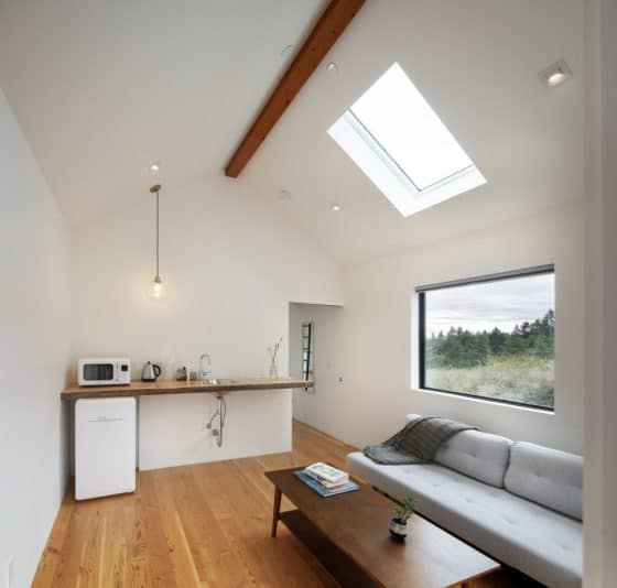 Diseño de sala y kitchenet de cabaña, estilo minimalista